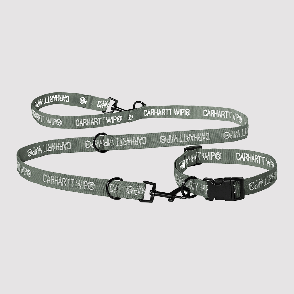 Tour Dog Leash & Collar Smoke Green / Reflective