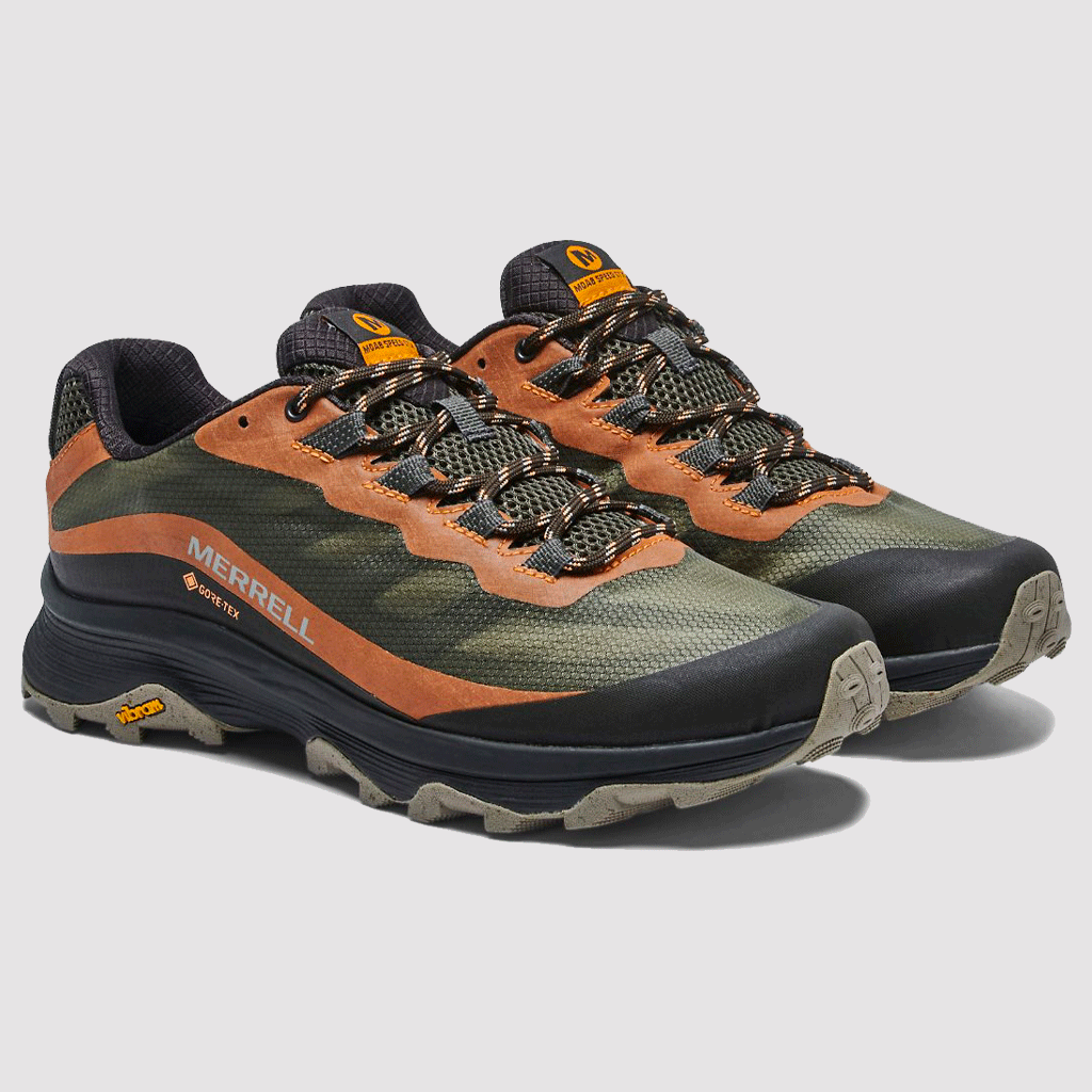 Moab Speed GTX Lichen