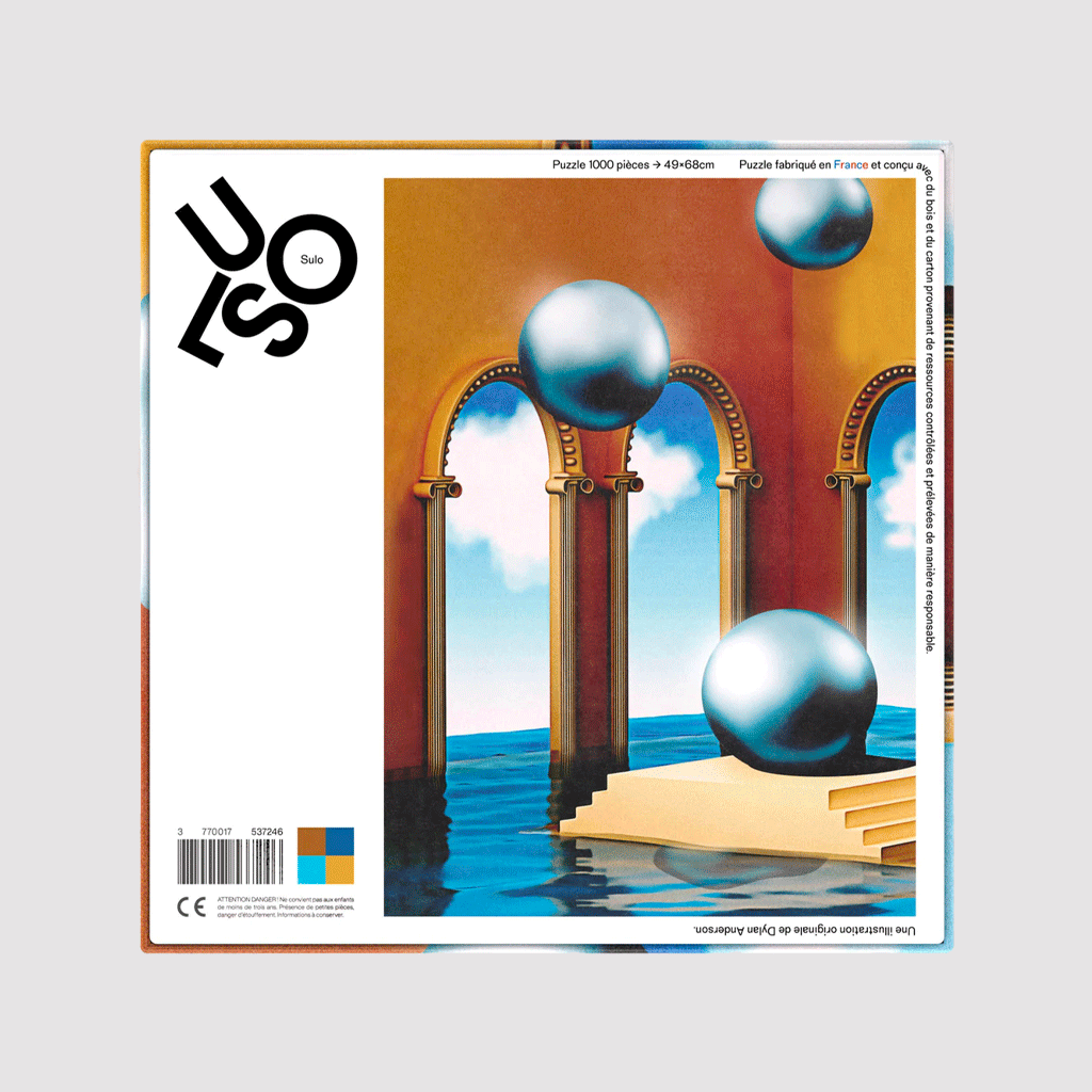 Silent Orbs Along Different Paths, Dylan Anderson (Puzzle 1000 Pièces)
