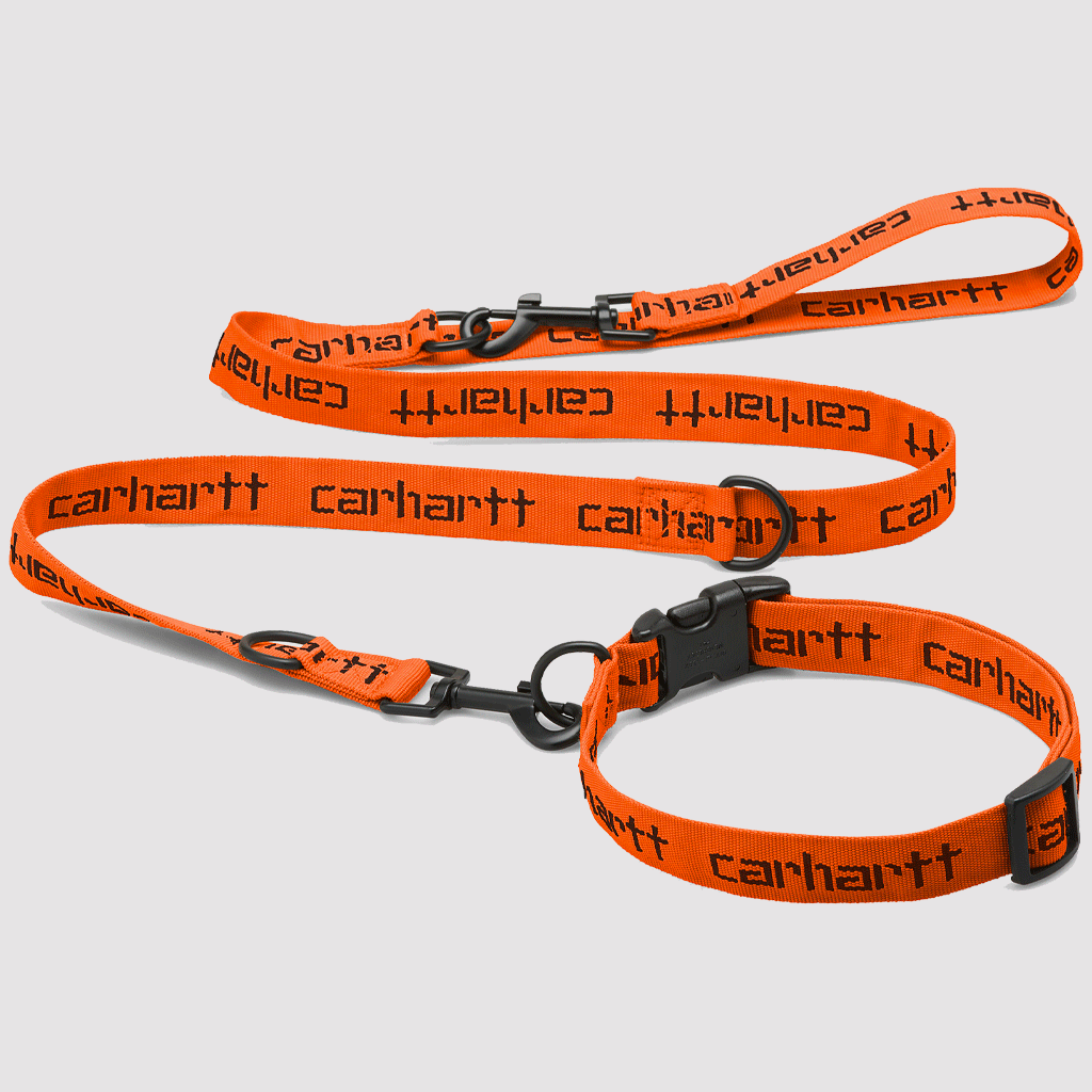 Script Dog Leash & Collar Orange / Black